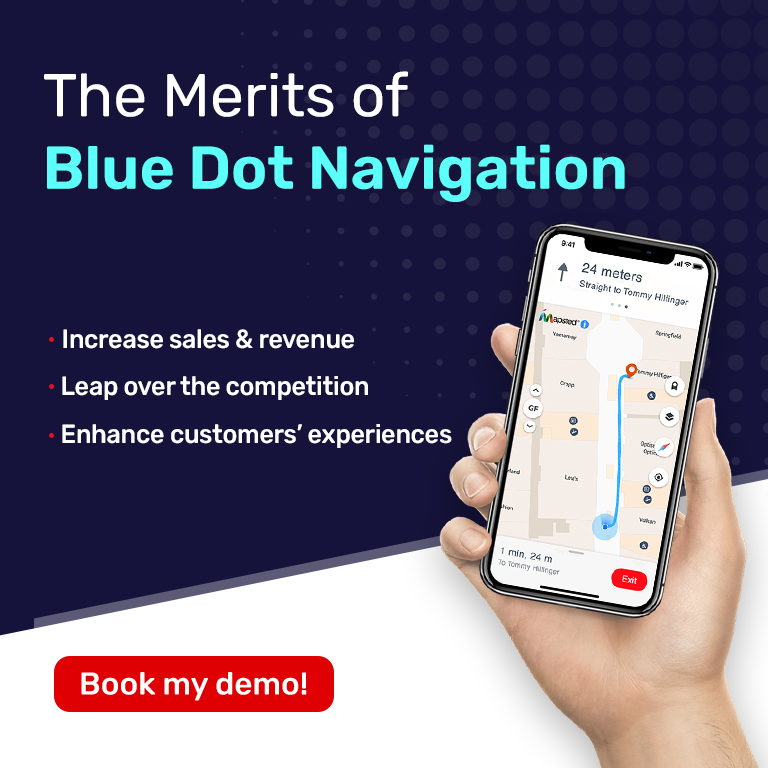 How Blue Dot Navigation Can Benefit Your Business in 2024?